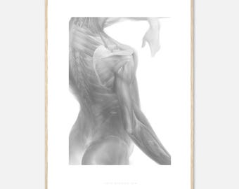 Framed Anatomy Art Poster - High Quality Print