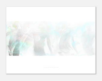 Anatomy Art Poster - High Quality Print