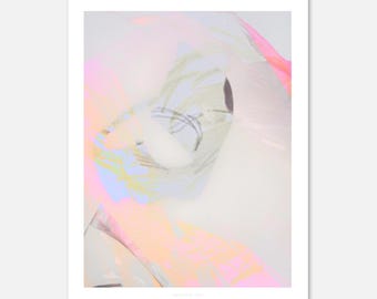 Anatomy Art Poster in Caliko - High Quality Print