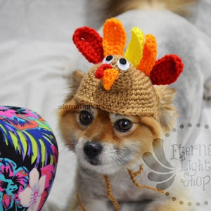 ANY Sizes/Colors Pet Turkey Hat Beanie (XXS-XXXL)