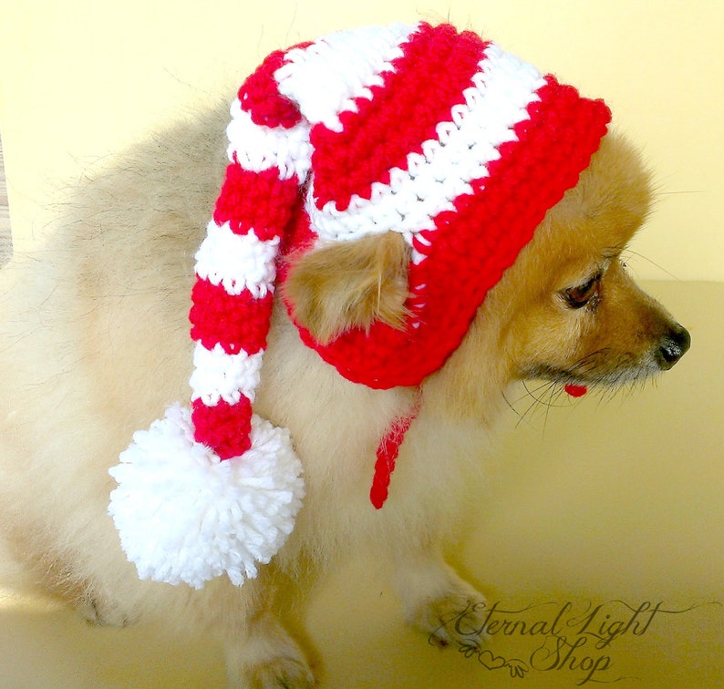 Pet Long Stocking Christmas Beanie XXS-XXXL image 1