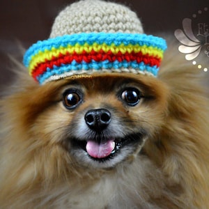 Pet Sombrero Hat (XXS-XXXL)