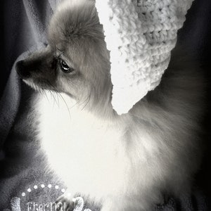 Pet Bonnet Pilgrim Hat XXS-XXXL image 1