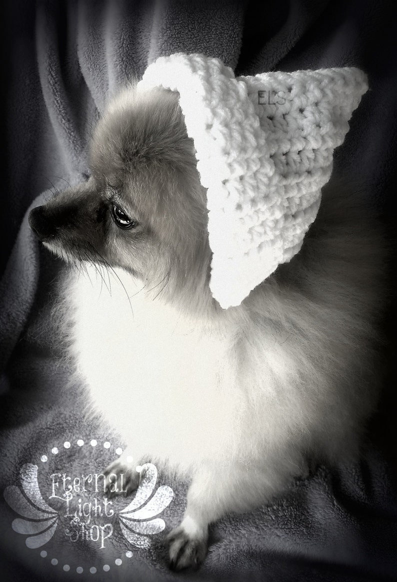 Pet Bonnet Pilgrim Hat XXS-XXXL image 1