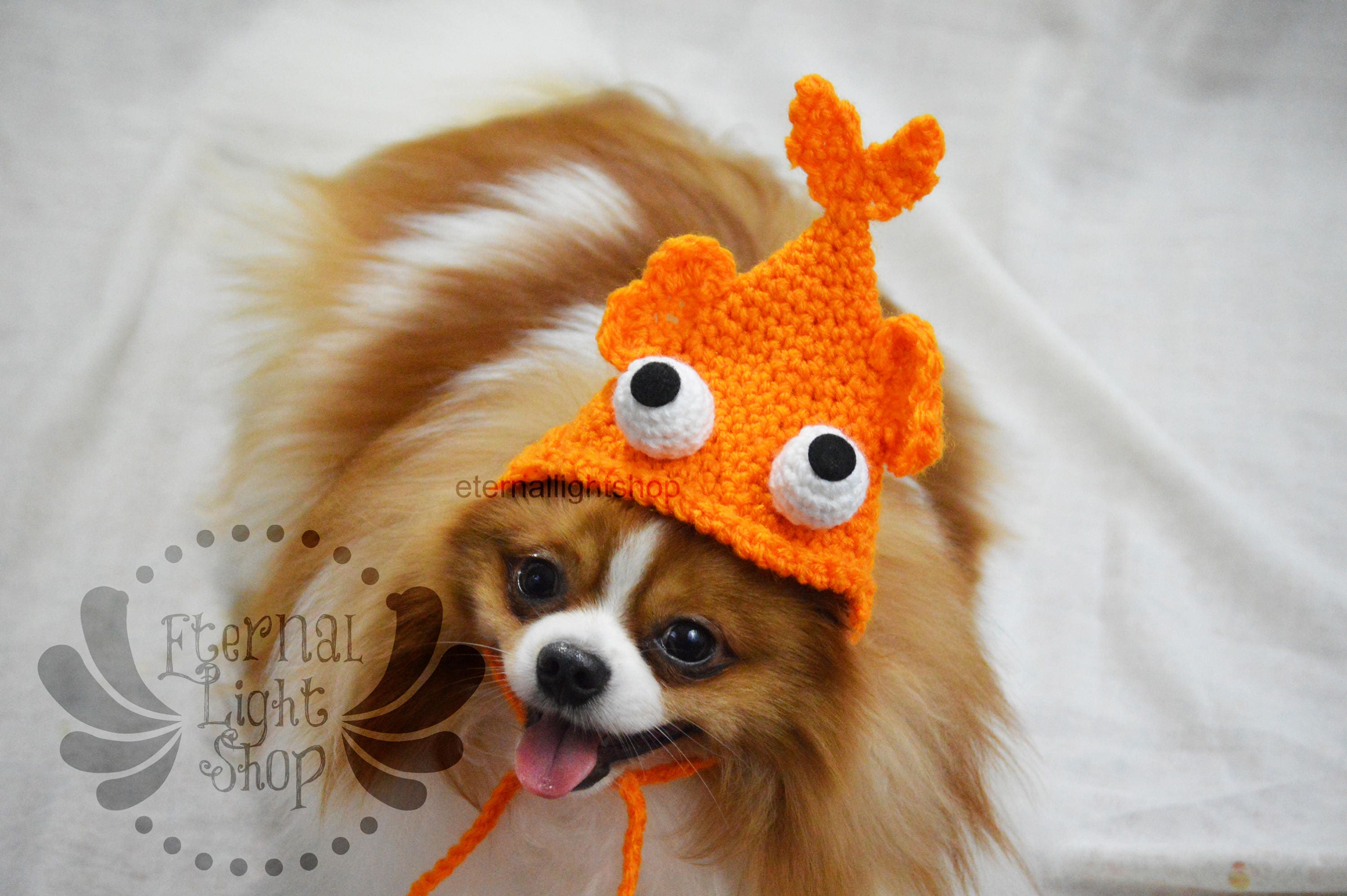 Buy Fish Dog Costume Online In India -  India