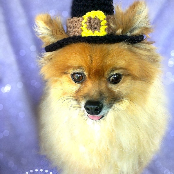 Sombrero de peregrino mascota (XXS-XXXL)