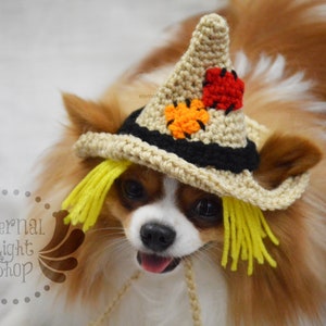 May include: A small dog wearing a crocheted scarecrow hat with yellow straw accents and fall-colored fabric patches. The hat has a wide brim and a pointed top.