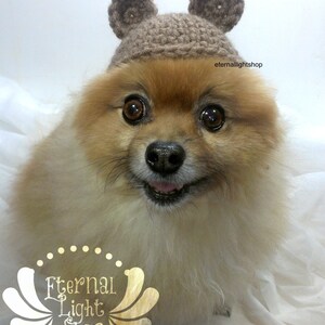 Pet Bear Beanie (XXS-XXXL)