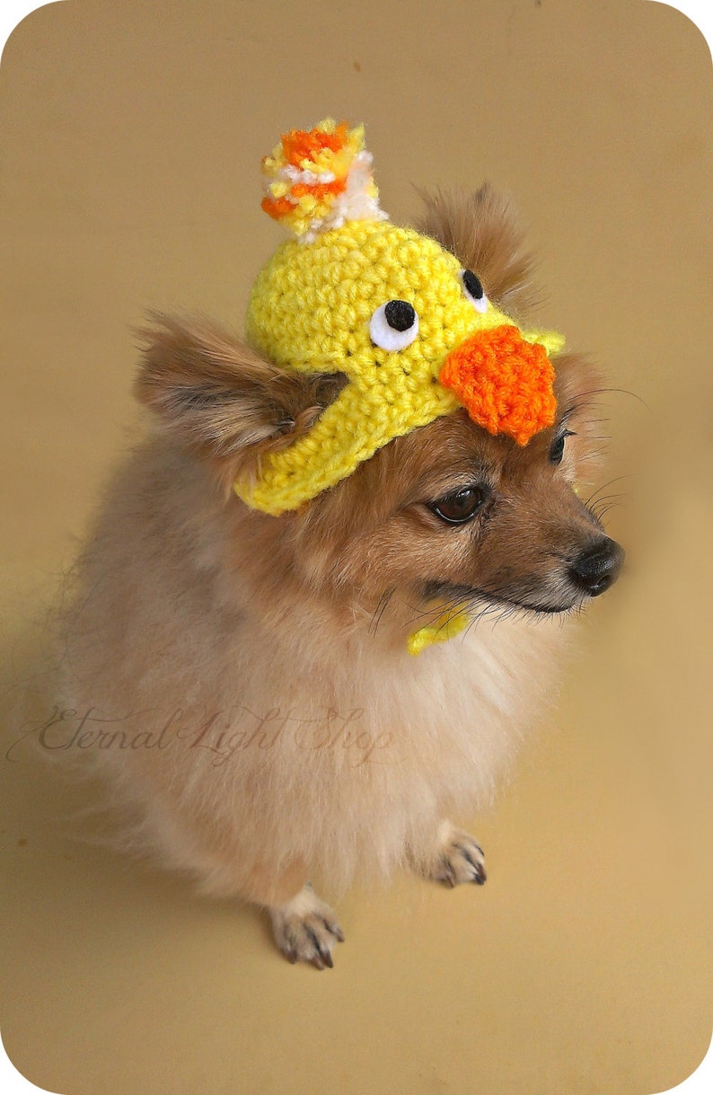 Pet Baby Chick Beanie XXS-XXXL image 2