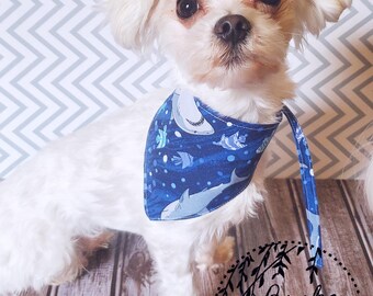 Pet Sharks Bandana (XS-XXL)