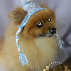 ANY Colors Striped or Plain Pet Hat (XXS-XXXL)