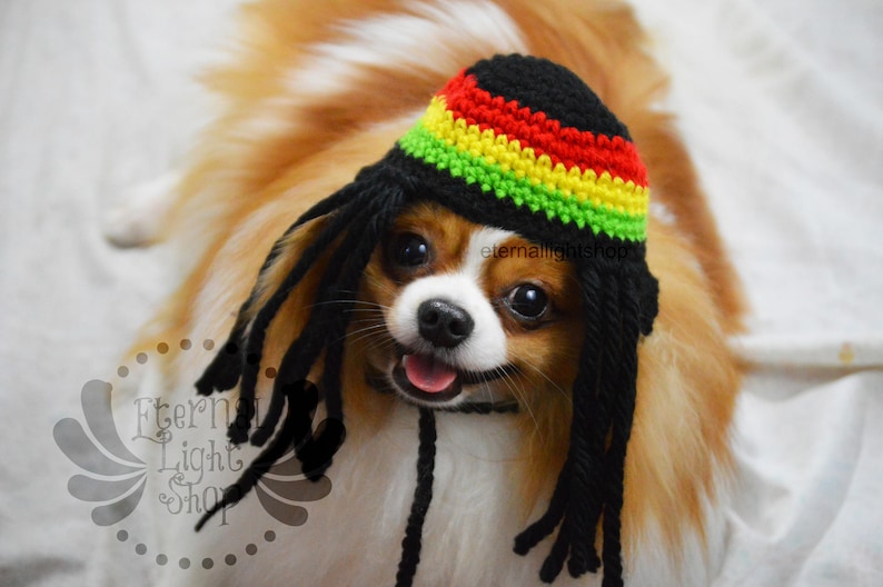 Pet Rasta Hat Beanie XXS-XXXL Any Colors Rastafarian image 1