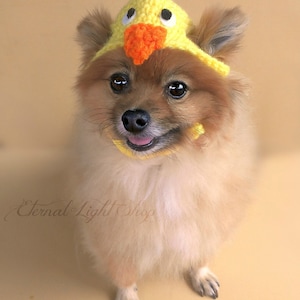 Pet Baby Chick Beanie XXS-XXXL image 1