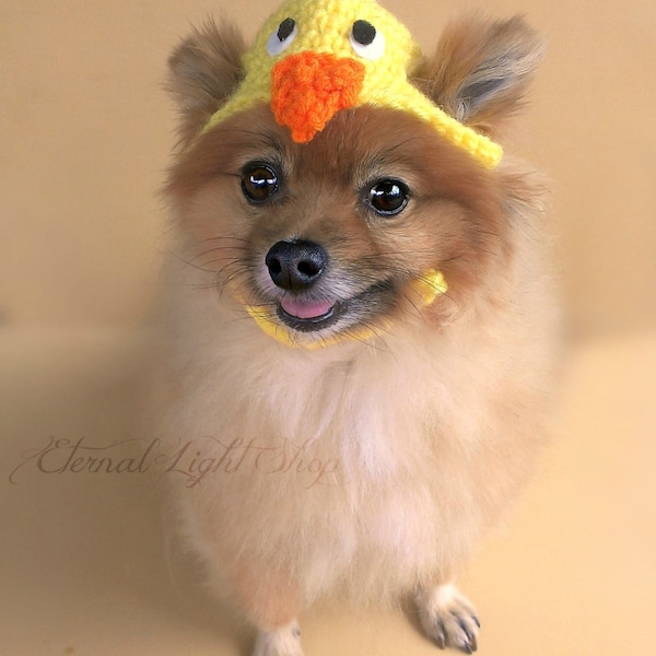 Pet Baby Chick Beanie (XXS-XXXL)