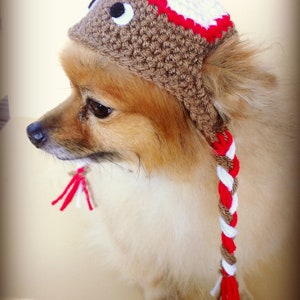 May include: A small dog wearing a brown and white crocheted hat with a red pom-pom. The hat has a long, braided tail with red and white yarn.