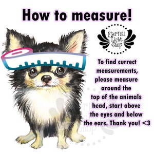 Może przedstawiać: Aquarela przedstawiająca małego czarno-brązowego chihuahua z niebieską miarką wok&oacute;ł głowy. Tekst "How to measure!" znajduje się w g&oacute;rnej części obrazu. Tekst "To find correct measurements, please measure around the top of the animals head, start above the eyes and below the ears. Thank you! <3" znajduje się po prawej stronie obrazu.