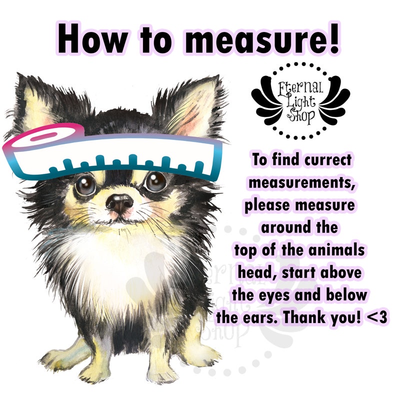 Może przedstawiać: Aquarela przedstawiająca małego czarno-brązowego chihuahua z niebieską miarką wok&oacute;ł głowy. Tekst "How to measure!" znajduje się w g&oacute;rnej części obrazu. Tekst "To find correct measurements, please measure around the top of the animals head, start above the eyes and below the ears. Thank you! <3" znajduje się po prawej stronie obrazu.
