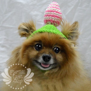 Pet  Easter Egg Hat (XXS-XXXL)