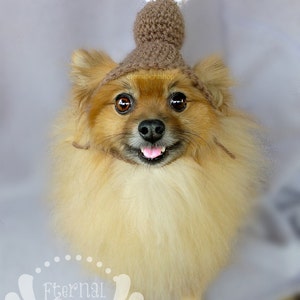 Turkey Leg Pet Hat (XXS-XXXL)
