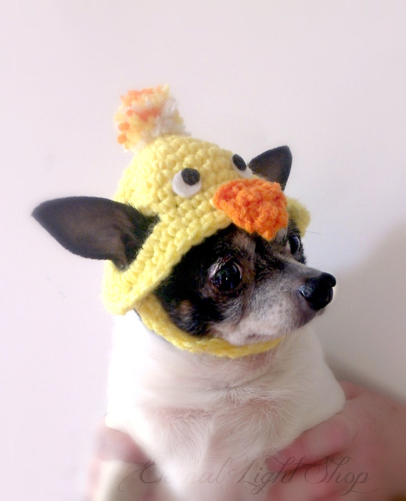 Pet Baby Chick Beanie XXS-XXXL image 3