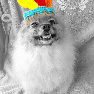 Pet Indian Hat (XXS-XXXL)