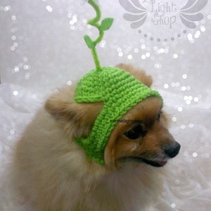 Pet Daisy Spring Flower Beanie (XXS-XXXL)