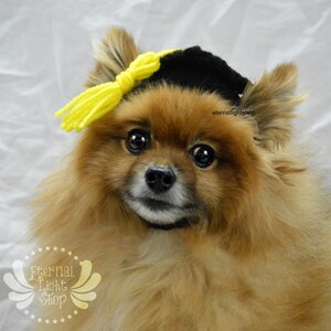 Pet Graduation Hat (XXS-XXXL)