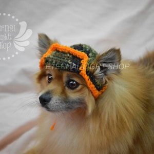 May include: A small, fluffy dog wearing a camouflage and orange crocheted hat. The hat has the text "Eternal Light Shop" on it.