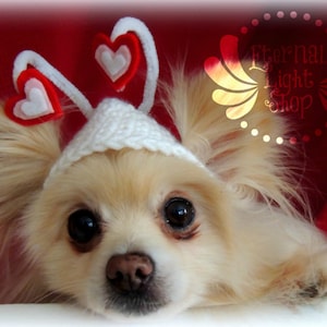 Pet Love Bug Beanie (XXS-XXXL)
