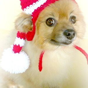 Pet Long Stocking Christmas Beanie XXS-XXXL image 2