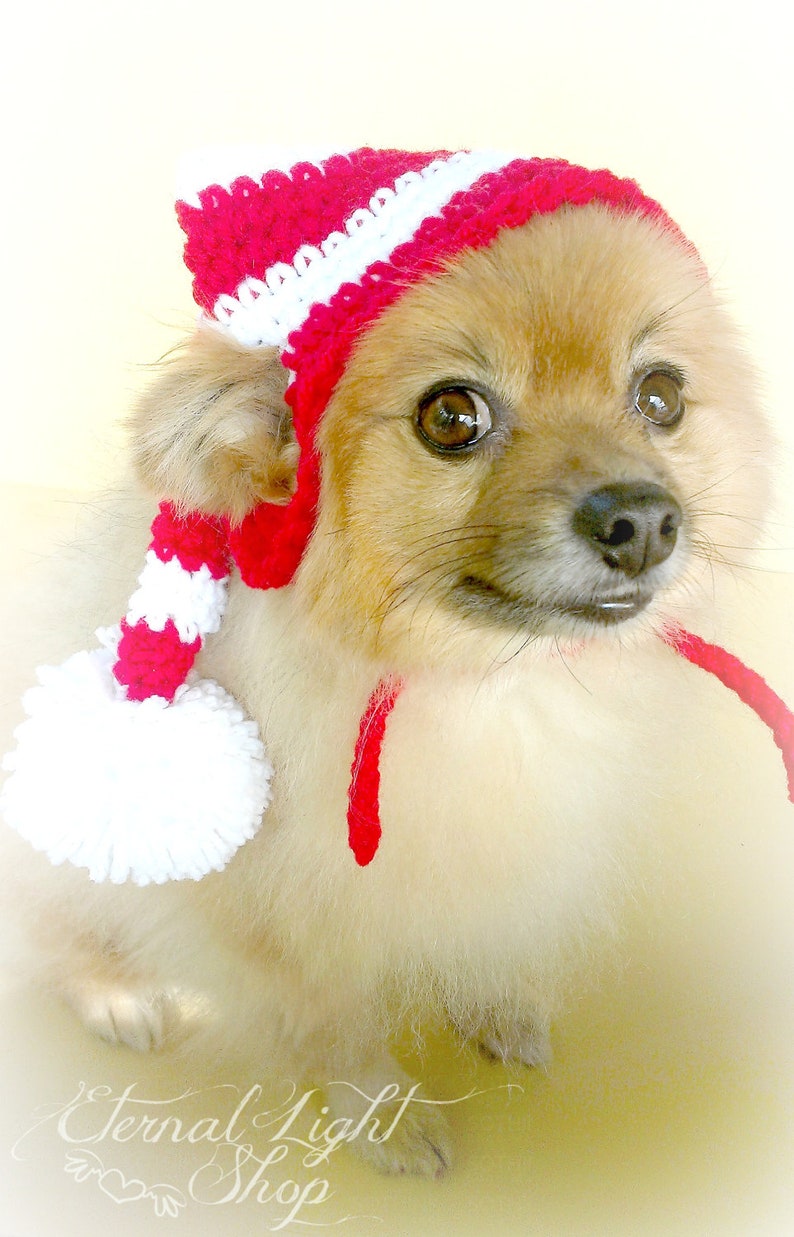 Pet Long Stocking Christmas Beanie XXS-XXXL image 2