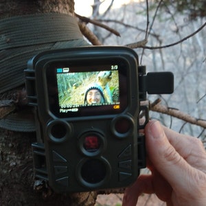 Serigrafia a mano Handmade Screenprinted limited edition Frame dei nostri Fototrappolaggi Frames from our trail cameras Stay Wild image 8