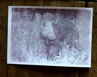 Serigrafia a mano  - Handmade Screenprinted - limited edition - Frame dei nostri Fototrappolaggi - Frames from our trail cameras - Stay Wild