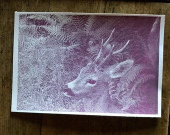 Serigrafia a mano  - Handmade Screenprinted - limited edition - Frame dei nostri Fototrappolaggi - Frames from our trail cameras - Stay Wild