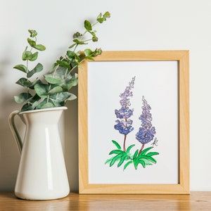 Aquareltekening Newfoundland paarse lupinebloem - gedetailleerd gevoerd
