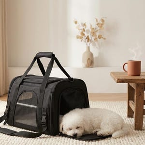 May include: A black pet carrier with a mesh window and top handles, featuring a rectangular shape and a zippered opening. A small, fluffy white dog is lying down on the floor in front of the open carrier, resting its head on the extended base.