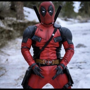 May include: A full-body Deadpool costume featuring a red and black textured suit with a matching mask, white eye lenses, black shoulder armor, a utility belt with a circular buckle, two katana hilts protruding from the back, and black gloves.