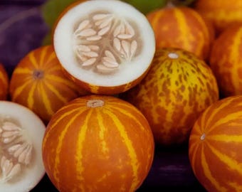 Queen Anne's Pocket Melon Heirloom Muskmelon Sweet Fragrant Edible Fruit 20 Seeds