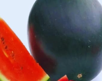 Sugar Baby Watermelon – Heirloom Non-GMO Mini Watermelon for Home Garden Planting, 25 Seeds