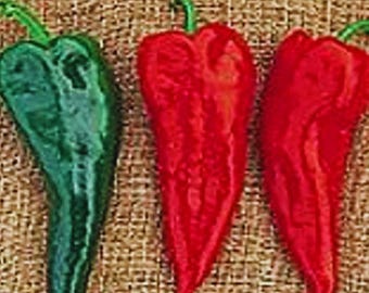 Organic Crimson Hot Chili Pepper Seeds Non GMO Heirloom Variety 25 Seeds