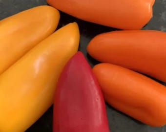 Lunchbox Sweet Pepper – Heirloom Snacking Pepper for Home Garden  Growing 100 Seeds