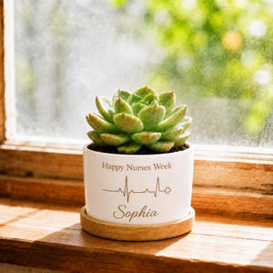 May include: A green succulent plant in a white ceramic planter with a wooden base. The planter features the brown text Happy Nurses Week, a heartbeat line graphic, a medical cross symbol, and the name Sophia printed on the front surface.