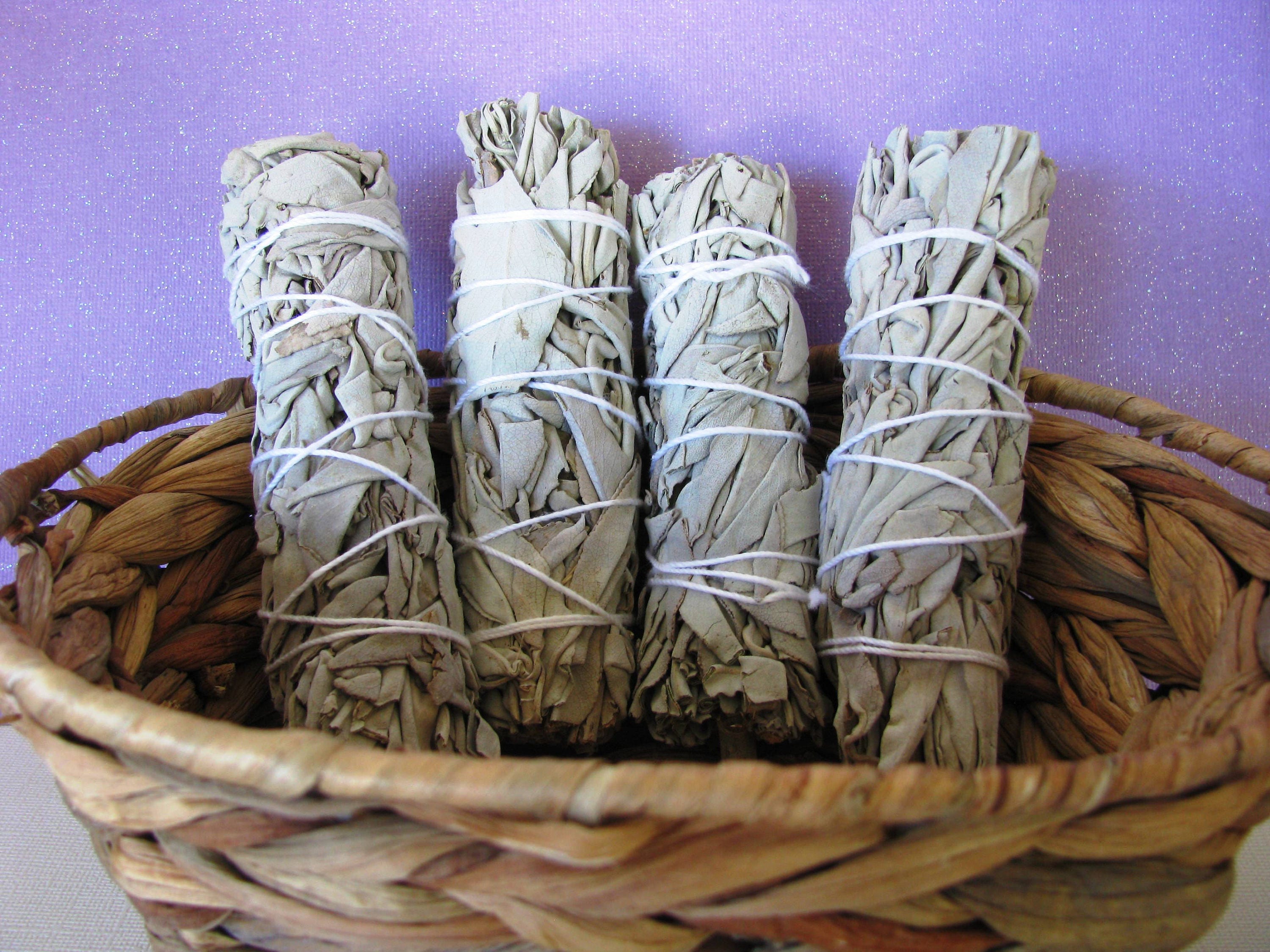 White Sage Incense Cleansing Smudge Stick Etsy UK