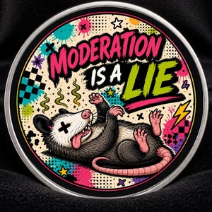 Könnte beinhalten: Ein runder Metall-Pin mit einer grafischen Illustration eines Opossums, das auf dem Rücken liegt und die Zunge herausstreckt. Der Text MODERATION IS A LIE ist in Pink und Grün gedruckt. Der Hintergrund zeigt bunte Spritzer, Sterne und Muster.