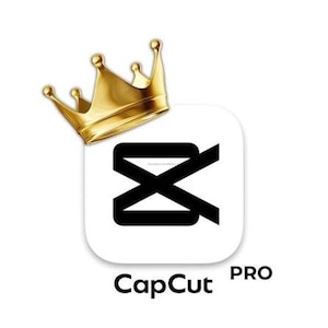 May include: A white square icon with rounded corners featuring a black stylized logo. A metallic gold crown is positioned at the top left corner of the icon. The text CapCut PRO is printed in black below the icon on a plain white background.