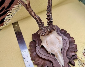 "1960er Rehgeweih Beschlag ""Schwarzwald"", geschnitzte Gedenktafel, handbeschriftet."