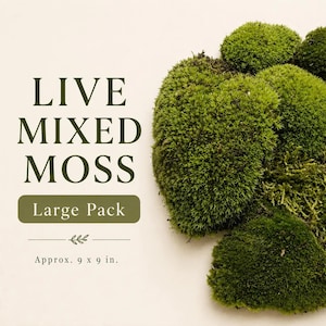 May include: A collection of live mixed moss in various shades of green, arranged in clusters. The text reads LIVE MIXED MOSS, Large Pack, and Approx. 9 x 9 in. The moss has a dense, textured appearance with both rounded and feathery growth patterns.