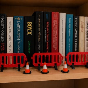 Puede incluir: Una fila de libros en un estante con tres barreras de construcción de plástico rojo y cinco conos de tráfico en miniatura de color naranja y blanco colocados frente a los lomos. Los libros incluyen títulos como Moonflower Murders, Labyrinth y Boy X.