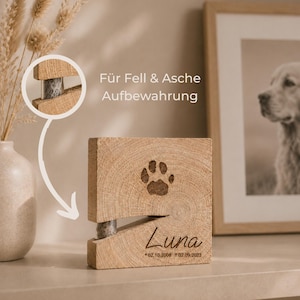 nobodinoz aufbewahrung Jetzt Second Hand Aufbewahrungstasche für Kinderwagen gebraucht kaufen Size:Umkarton mit 100 Stk. Kochen Canyon Rennräder gebraucht kaufen