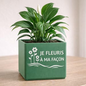 Peut inclure: Un cache-pot carré vert à texture nervurée verticale contenant un lys de la paix. L'avant du pot présente un motif blanc composé de deux fleurs et du texte "JE FLEURIS À MA FAÇON" au-dessus de deux lignes ondulées.